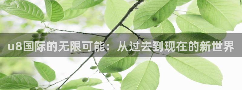u8国际的无限可能：从过去到现在的新世界