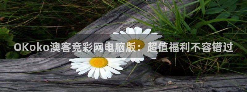 PG电子体育app下载：OKoko澳客竞彩网电脑版：超值福利不容错过