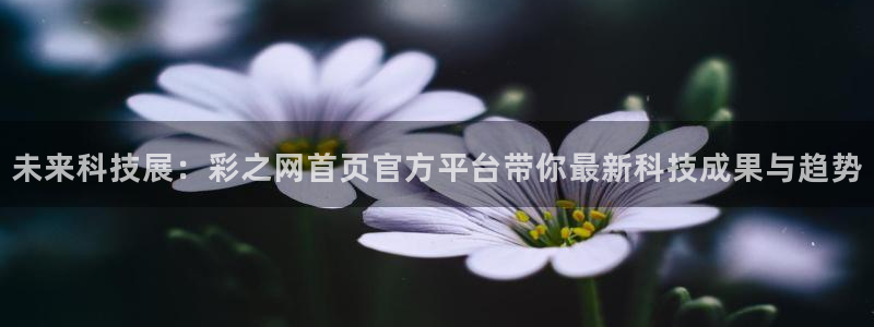 PG电子集团总部：未来科技展：彩之网首页官方平台带你最新科技成果与趋势