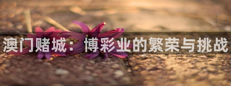 PG电子招商：澳门赌城：博彩业的繁荣与挑战