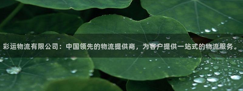 PG电子体育凯捷登陆：彩运物流有限公司：中国领先的物流提供商，为客户提供一站式的物流服务。