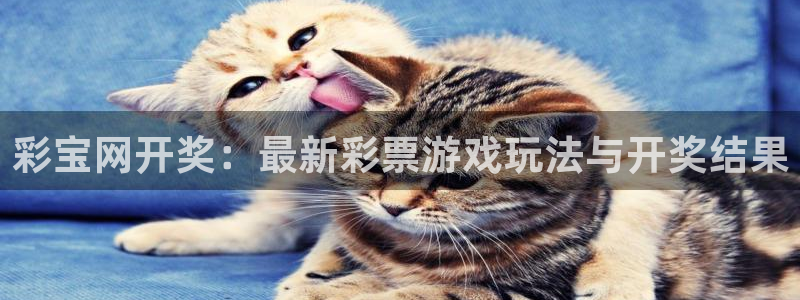 PG电子体育代理申请流程：彩宝网开奖：最新彩票游戏玩法与开奖结果